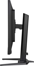 iiyama 31,5