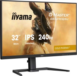 iiyama 31,5