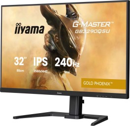 iiyama 31,5