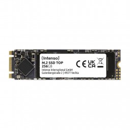Intenso 256GB M.2 2280 Top Performance