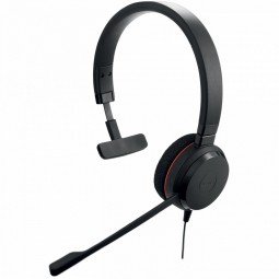 Jabra Evolve 20 MS Mono USB C/A Black