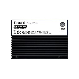 Kingston 3,84TB M.2 2280 NVMe DC3000ME