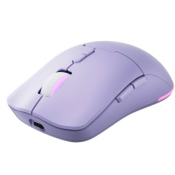 Lenovo Legion M220 Wireless Bluetooth RGB Gaming Mouse Aurora Purple