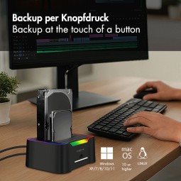 Logilink Dual docking station 2 port Black