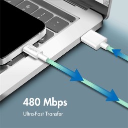 Logilink USB 2.0 Type-C A/M to C/M cable 1m Green