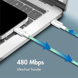 Logilink USB 2.0 Type-C C/M to C/M cable 1m Green
