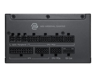 Msi 1000W 80+ Platinum MAG A1200PLS