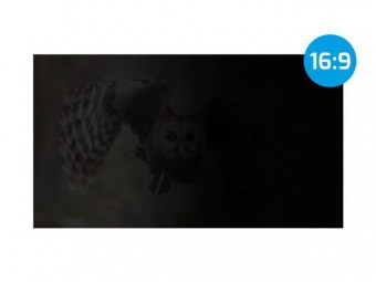 natec Owl Frameless Display Privacy Filter 24