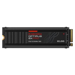Sandisk 4TB M.2 2280 NVMe Optimus GX Pro 8100 with Heatsink