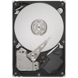 Seagate 320GB 7200rpm SATAII 8MB ST3320311CS