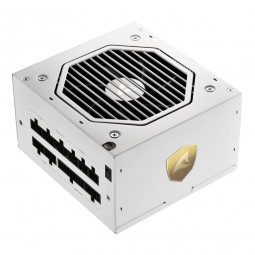 Sharkoon 850W 80+ Gold Rebel P20 White