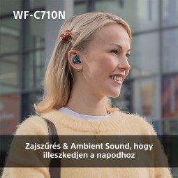 Sony WF-C710N True Bluetooth Headset Pink