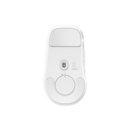 Steelseries Rival Pro Wireless Mouse White