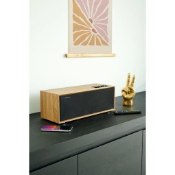 Thomson WS702 Speaker Black