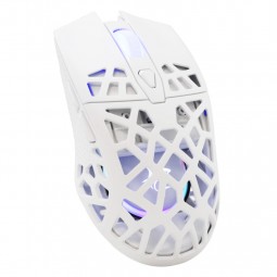 White Shark GM-5018 Caradoc Gaming mouse White