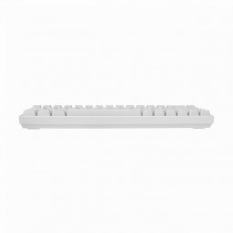 White Shark Ronin RGB Gaming keyboard White US